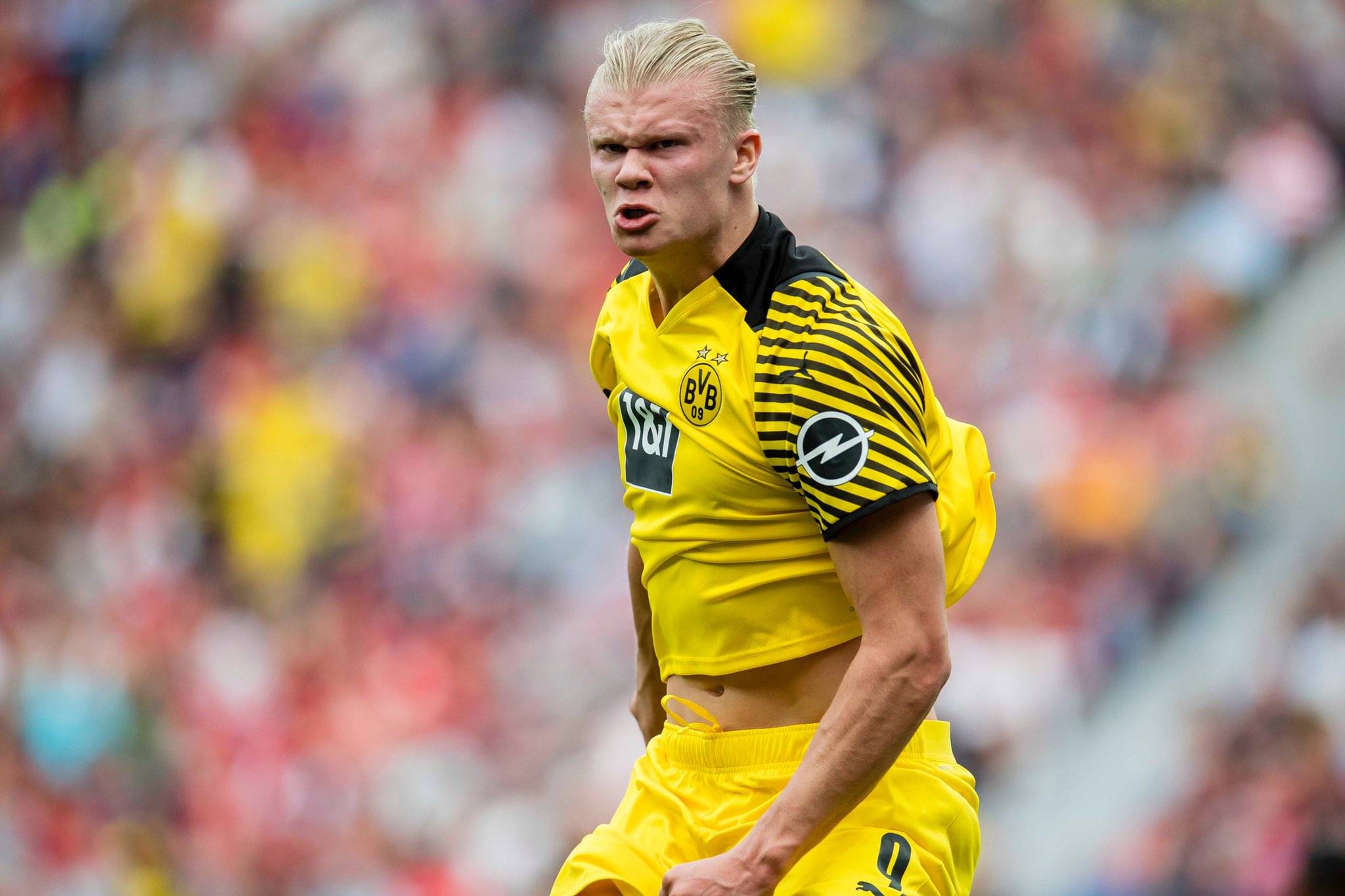 《王者荣耀》龙年新春版本“龙祐千载”PV 福利情报